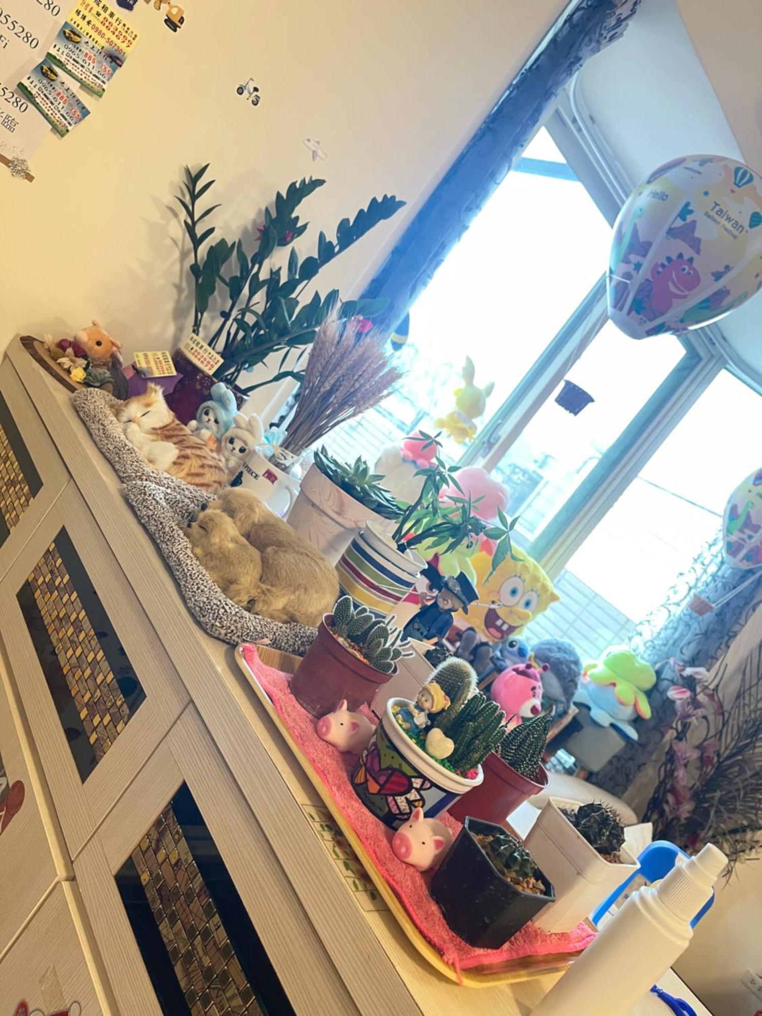 Holiday Homestay 池上郷 エクステリア 写真